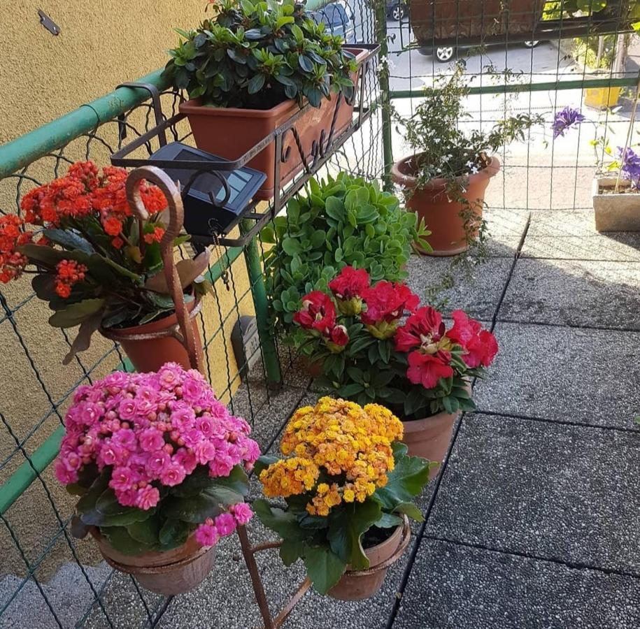 Alloggio Con Idromassaggio E Super Vista Nave San Felice Luaran gambar